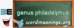 WordMeaning blackboard for genus philadelphus
